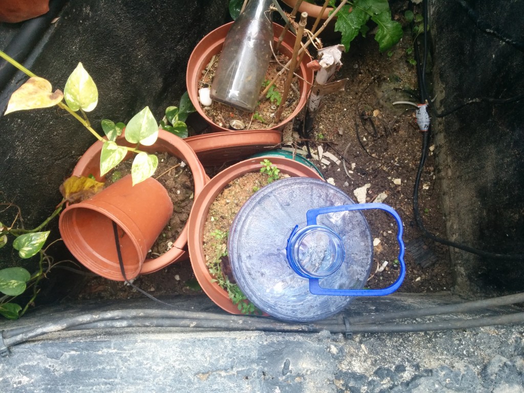 Bottle and planter inside the herb garden