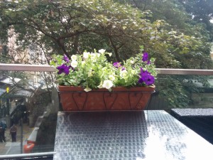 Individual hanging planter with seasonal flower